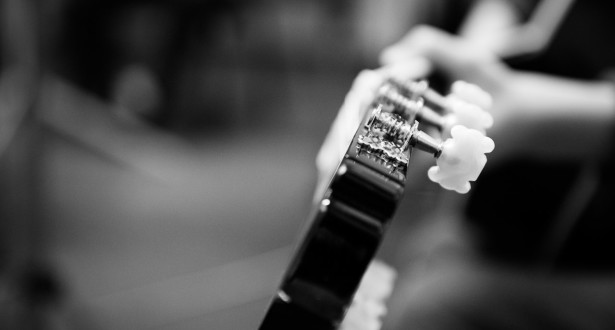 Adult Ukulele