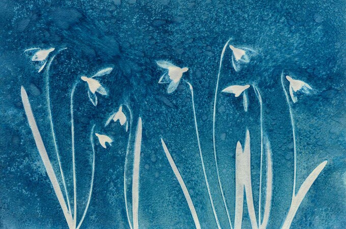 Sun Printing