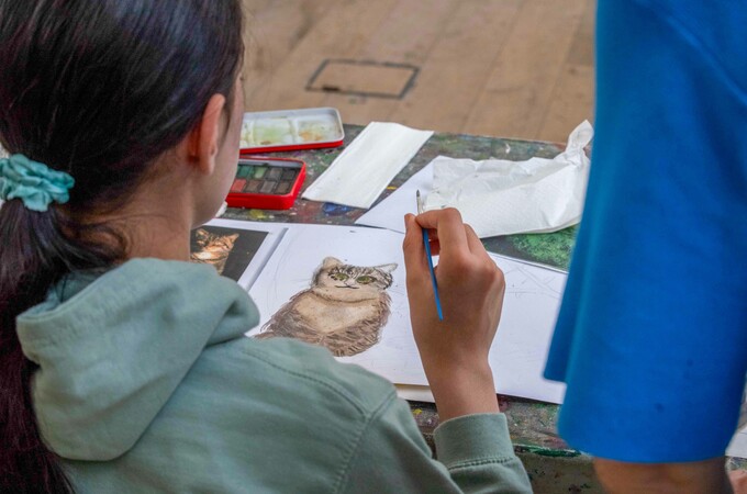 Draw Paint Sow Grow