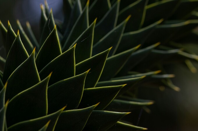 Sculpt Our Environment